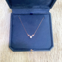 A deer has your sterling silver necklace female luxury niche design advanced temperament clavicle chain 2021 new