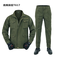 Оливковая зеленая косой линии T617