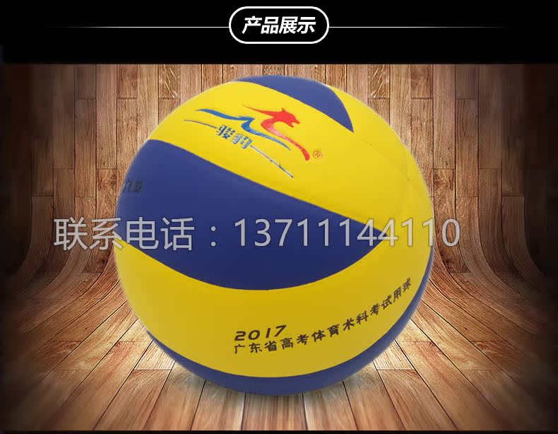 Ballon de volley - Ref 2014490 Image 13