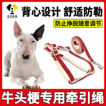 Adjustable chest back of small dog rope with a special walking dog traction rope