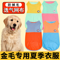 Golden hair special dog clothes 2022 new summer clothes for mother and puppy 20 pounds to prevent hair puppies summer
