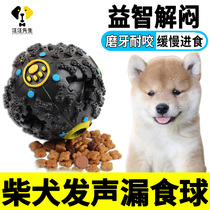 Diesel dog leaking toys and puzzle interactive artifact small dog playing alone playing the sound of hi ball