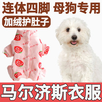 Marzis Puppy Winter Clothing Clothes 2021 New Mother Dog Full Bag Tummy Plus Suede Four-foot Thickened Cotton Clog