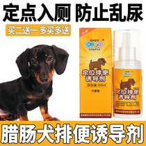 Salami Dog Training Upper Toilet Pinpoint Defecation Inducers Prevent Pet Dogs From Messy And Urinate Urine and Relieve God