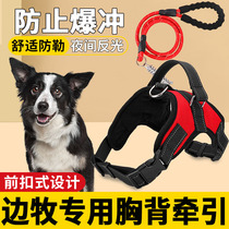 Large dog rope red summer front buckle anti-explosion button brake tie collar collar