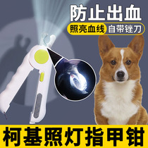 Kochi special nail claw claw toenails for bleeding nails cut bloodline small dog fingernails