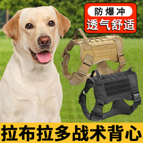 Labrador Special Dog Tactical Vest Vest Strap Bracelet Large Dog Walking Dog Traction Rope