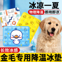 Golden hair special dog ice cushion anti-tear bite large cushion ice mattress cushion ice nest cooling large dog cooling seat in summer
