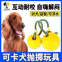 Coca dog plays by toys and puzzles unfolding artificial self-hi tear-bite outdoor interactive ball large dog