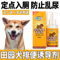 Field dog puppies on the toilet Targeted Defecation Inducers to Prevent Pet Dogs Messy to Defecate Open Defecation