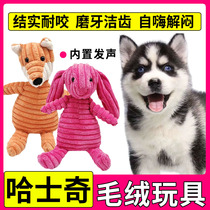 Hasky Dog Dog Bits Bite Toys Bite Themselves Toys Bite Hate Has Had Had Had Had Had Dogs