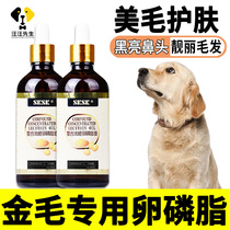 Ophosphate hair skin-haired skin-haired pet drop hair-resistant black nose blast hair blast for gold hair