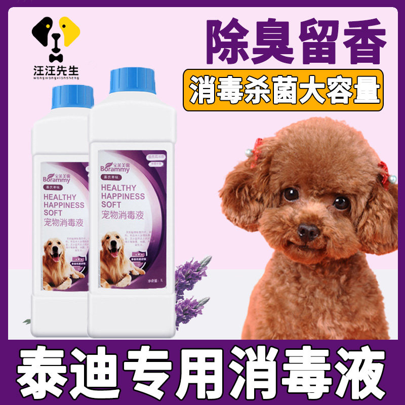 Teddy dog on the taste disinfectant indoor environmental sterilization and smell remove urine spray