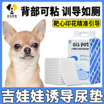 Chihuadog Training Target Cardiova Pad to Guide to Toilet Puppy Induces Pet Digestive Pad Single Adhesive