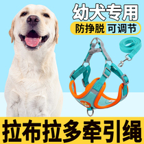 Labrador puppy puppy traction rope vest collar large dog dog walking rope adjustable