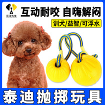 Teddy Dogs Toy Their Toys Knowing Suffrage Device Has Had Had Tell Tell Outdoor Interactive Ball