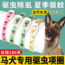 Dogs dedicated insect treated insect-treated neck of dogs with insect-treated insect-treated insect-free puppy