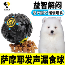 Samoyed dog leaking toys wisely unnerved interactive artifacts large dogs playing alone self-hi ball