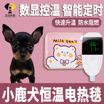 Small deer dog special pet dog dog electric blanket small sleeping socket waterproof not to be covered with woolen heating heating mat size number