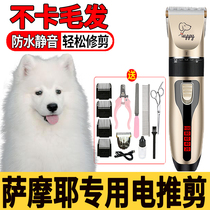Samoye special dog hair cutting tool for push cutting toolkit for pet hair trimmer specialized shaving hair