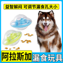 Alaska Dogs Play Themself with Power Leaks Feed Has Hey Ball Unfused Artificial