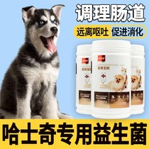 Hasky Special Probiotic Growth Meat Nutrition Dog Conditioning Gastrointestinal Pet Puppy Dog