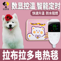 Sammoye Pet Small Dogs Special Winter Electric Blanket Sleeping Nest Waterproof not to be covered with woolen heating Heating mat Large number