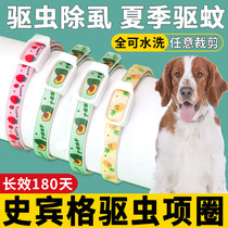 Spingers dedicated insect treated insect-treated neck insect-repellent insect-treated insect-treated insect-treated insect-treated insect-treated insect-treated insect-treated insect-repellent neck-insect-treated insect-insect-treated insect-free neck-removed puppies