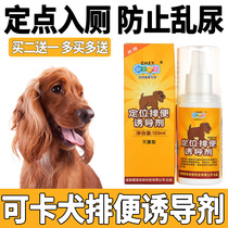 Cocker Dog Training Upper toilet Targeted Defecation Inducers to Prevent Pet Dog Mess of Urinating Urine and Relieving Nature
