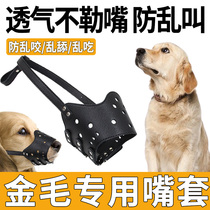 Golden fur pooch mouth sleeve anti-licking bark A god instrumental large dog mess with a mouth guard sleeve anti-bite special mask