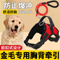 Golden hair special traction rope vest type large front button branch button and coarse dog chain collar