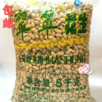 Guangdong 10 kg Guanhua peanut jade salty peanut peanut machine drying KTV bar snack
