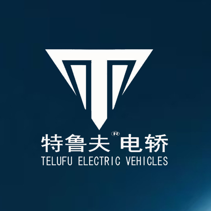 特鲁夫新能源电轿直销的LOGO