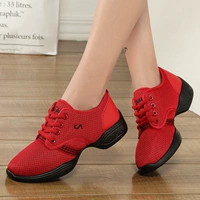 Дахонг (двойная сеть)