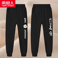 【Император Вельверс】 буква chrysanthemum k/black-eyek/black