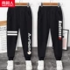 2 бар K+Chrysanthemum K/Black-Ece Red K/Black