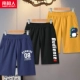 [3 хлопкового хлопка] Blue/08k-black/Ace Red K-Yellow/Little Dinosaur K