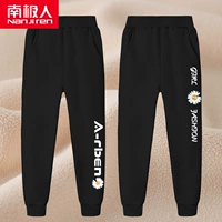 【Встряхнуть бархата】 Kita Last K/Black-букватор Chrysanthemum K/Black