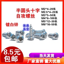 3mm semi-round head self-tapping nail galvanized tip small screw wood screw small self-tapping nail M3 * 5055