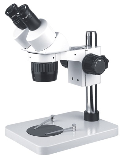 Body-Real Microscope Microscope Physical Microscopy Physical Microscopy Optical Microscopy