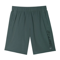 Чернильный пепел