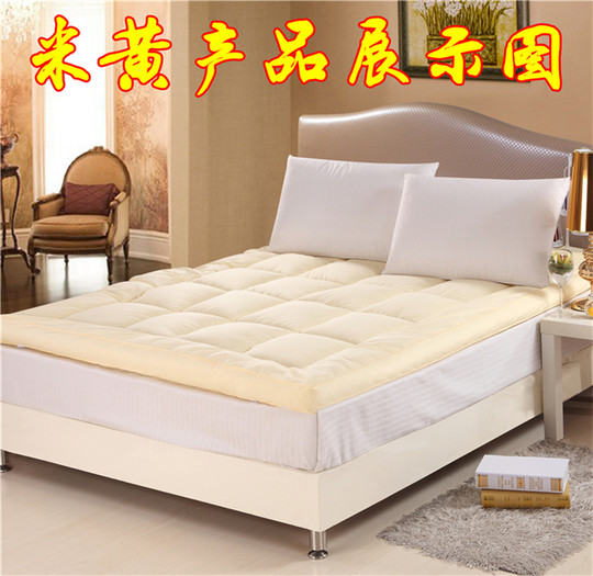 Genuine feather velvet mattress five-star hotel thickened 10cm tatami pad mattress special offer