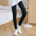 Quần legging mùa thu nữ mặc cotton cao eo Hàn chân hoang dã mùa đông dày phần chín quần rộng size đen