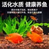 Вулканический каменный аквариум оформление ландшафта до дна аквариума черепахи на дне песочного потока, древние рыбные сельские гранулы, каменная травяная грязь