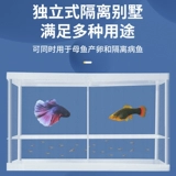 Изоляция рыб Ансорбционная сеть Адсорбционная сеть сети