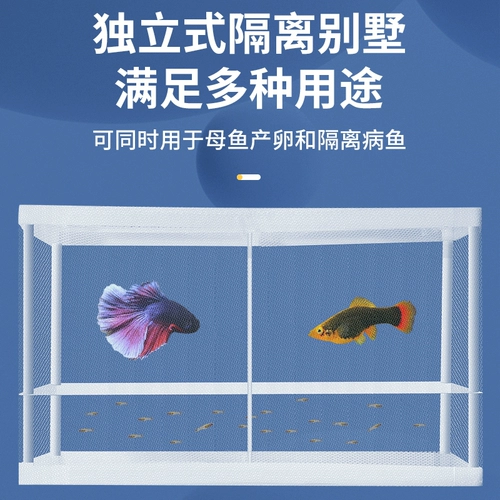 Изоляция рыб Ансорбционная сеть Адсорбционная сеть сети