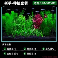 Пакет начинающих заводов [подходит для 20-30 см]]