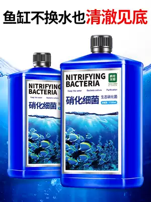 Nitrifying bacteria, fish tanks, digestion of nitrifying aquariae, purification of water stabilizers, water purification agents, nitrifying bacteria