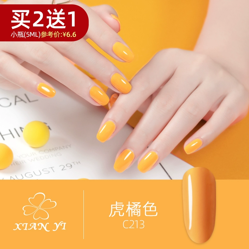 2020 Nail Art Fall / Winter Net Red Màu mới Phổ biến Màu mới Tiger Orange Nail Polish Glue Orange C213 - Sơn móng tay / Móng tay và móng chân