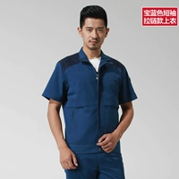 16 Сокровищ Синий короткий -на молнии (вверху)